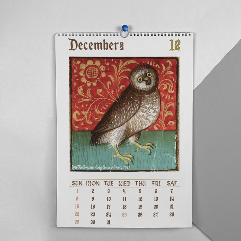 Weird Medieval Owl Calendar 2024