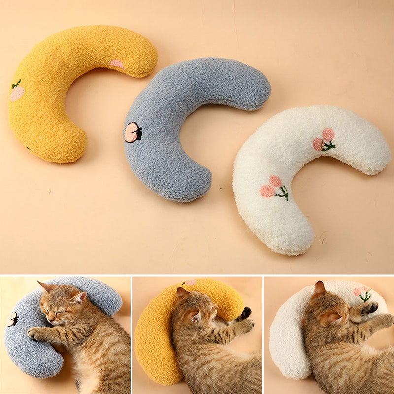 Katze Schönes gemütliches Kissen